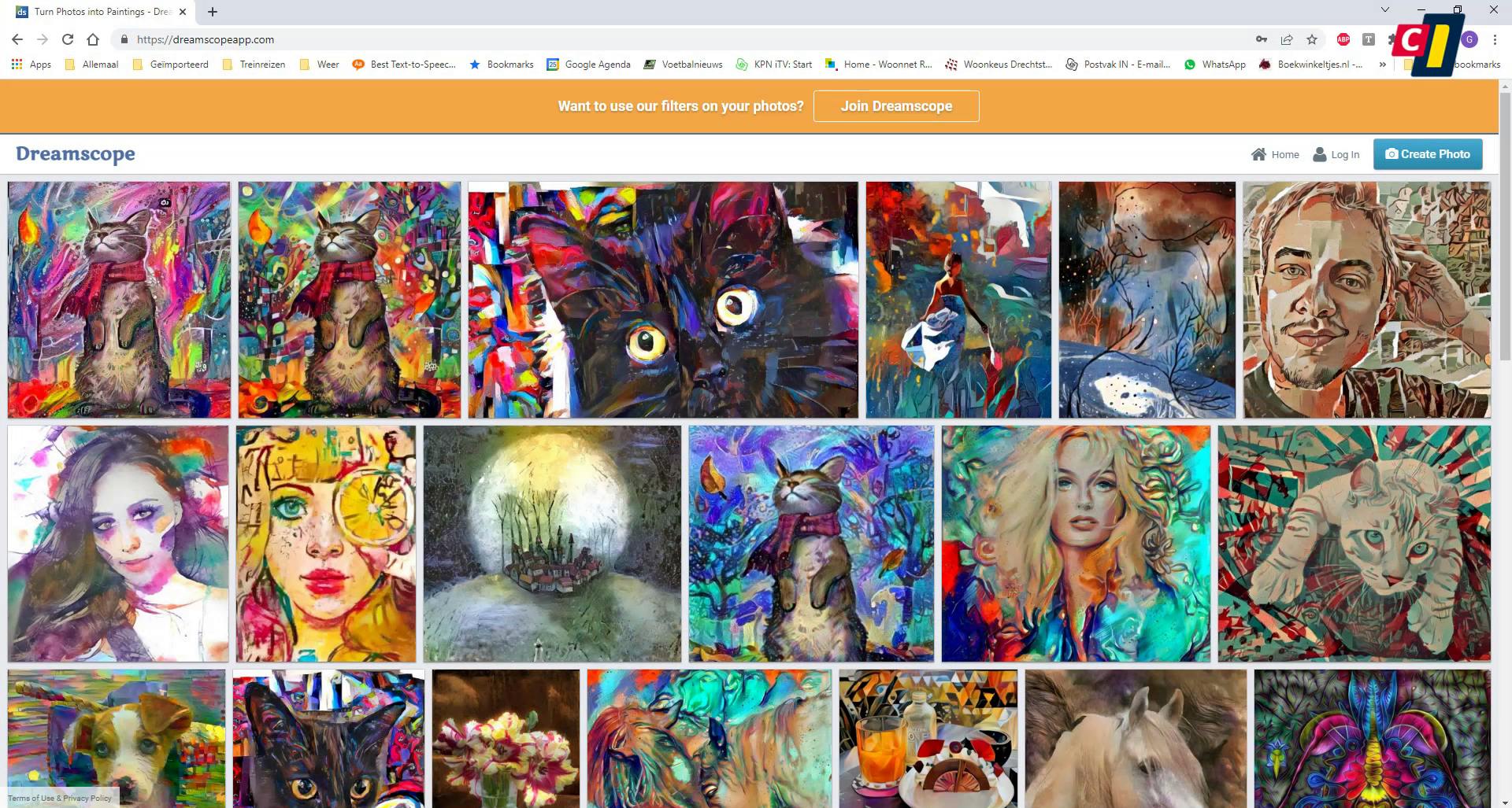 Van foto naar kunstwerk met Dreamscope