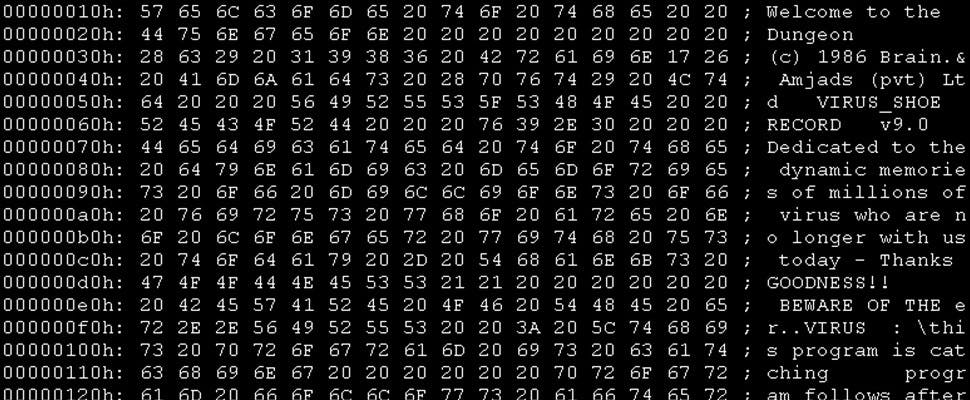 Rotterdams museum komt met malware-tentoonstelling 
