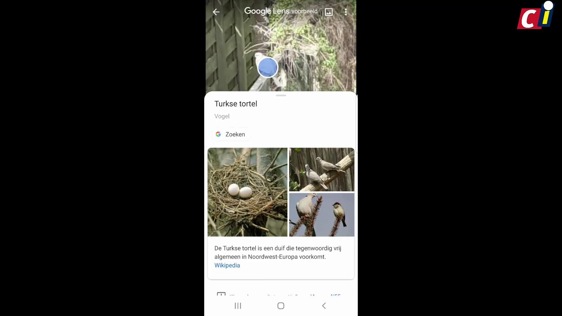 Objectherkenning met Google Lens