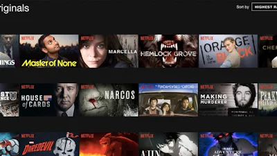 Bijklussen door te vertalen voor Netflix