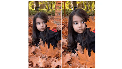 Google voegt knap 3D-effect toe aan online foto's