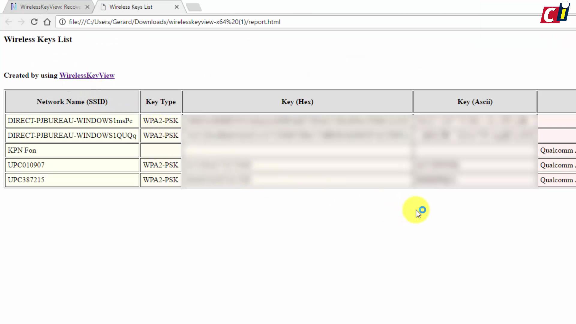 Wifi-wachtwoord achterhalen met WirelessKeyView