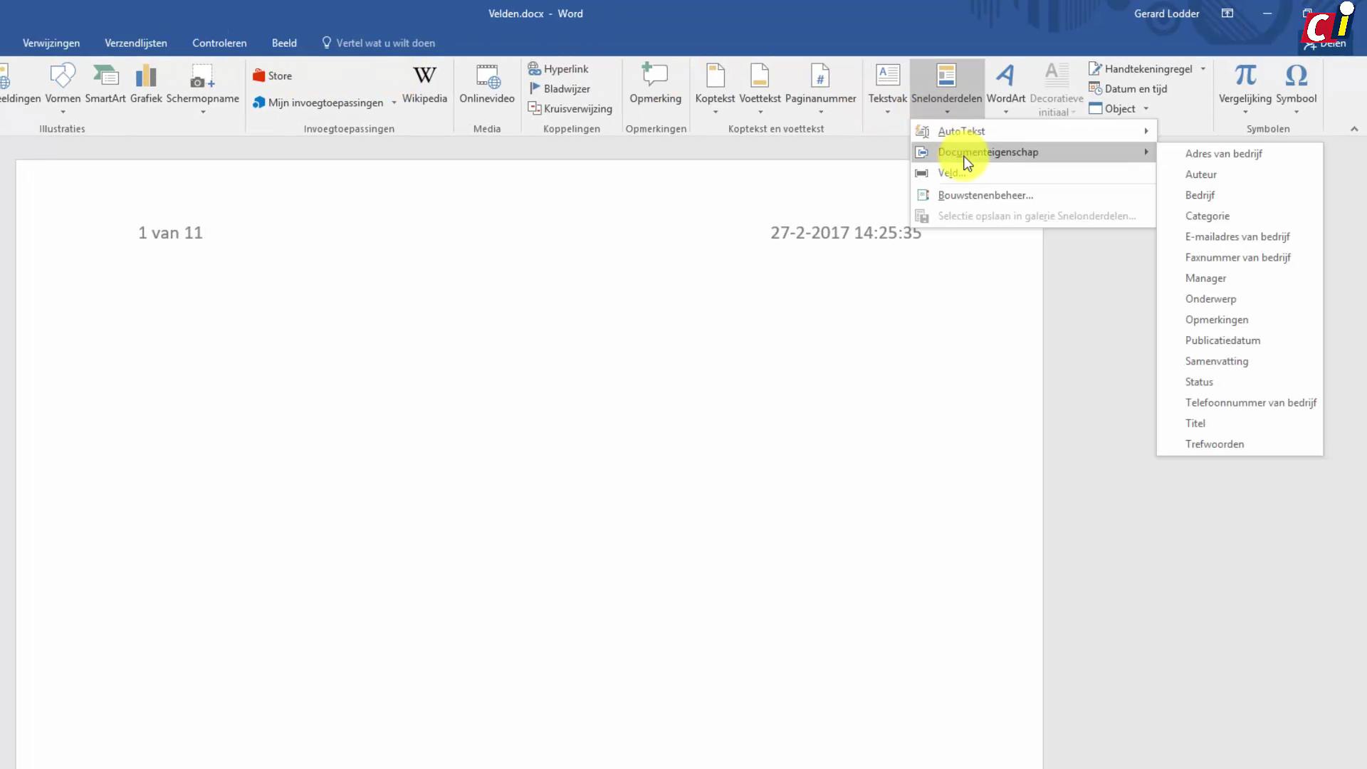 Gebruik velden in Word (2)