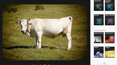 Google breidt fotobewerking Google+ uit
