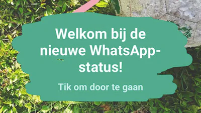 WhatsApp heeft nu ook een stories-functie