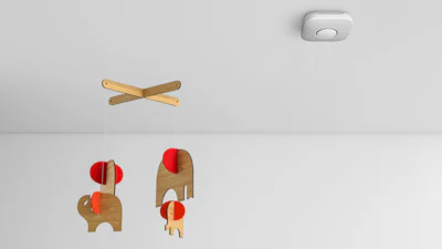 Onmisbare veiligheidsassistent voor thuis