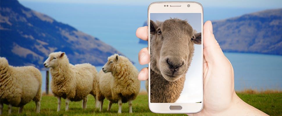 Google zet selfie-filters uit om vertekend zelfbeeld te voorkomen