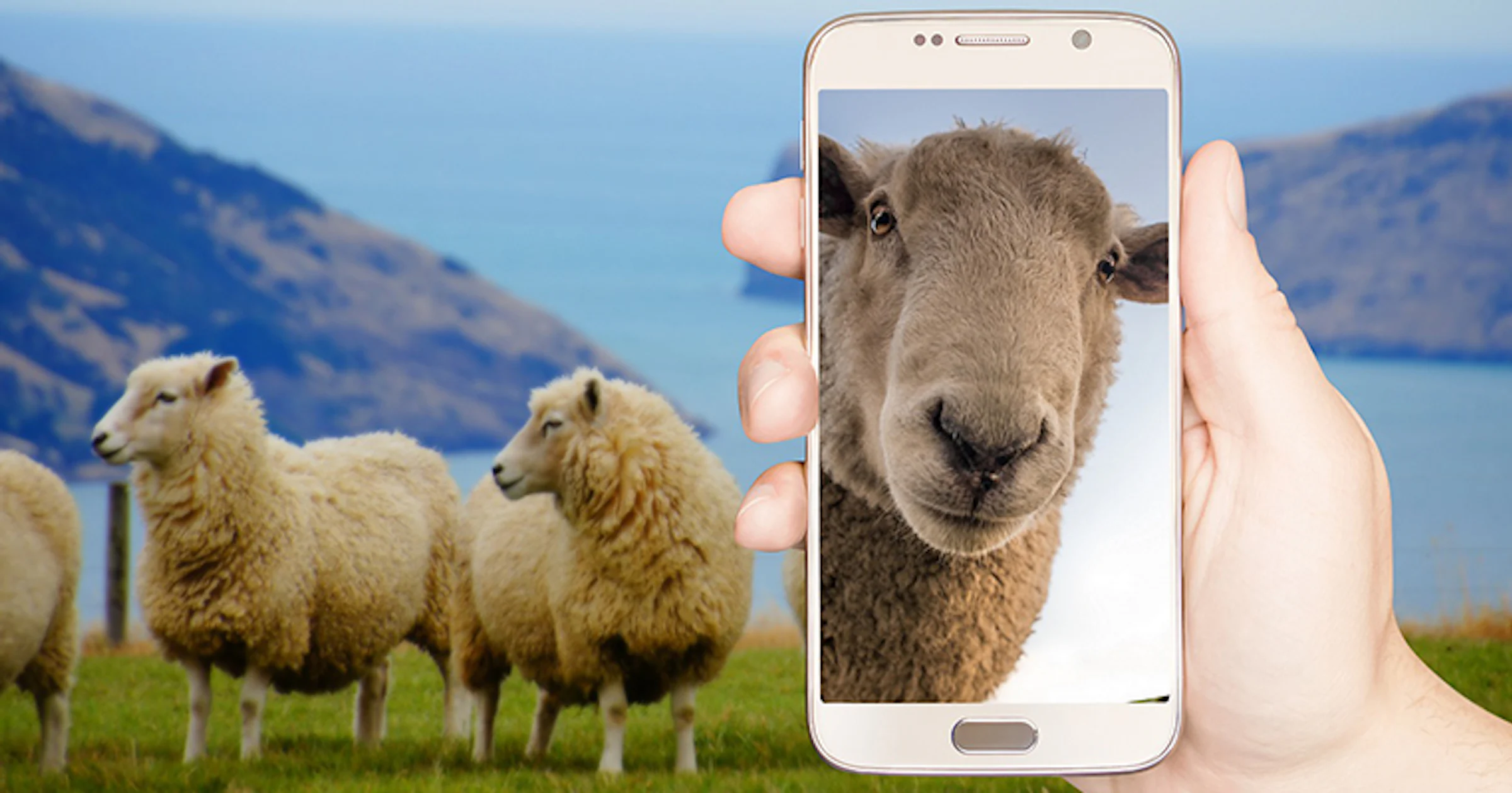 Google zet selfie-filters uit om vertekend zelfbeeld te voorkomen