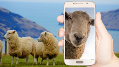 Google zet selfie-filters uit om vertekend zelfbeeld te voorkomen