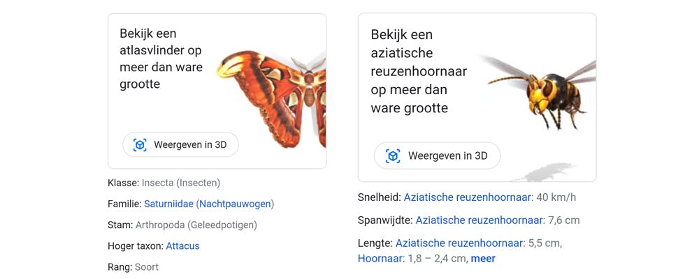 Brrrr... AR-insecten van Google in je huiskamer