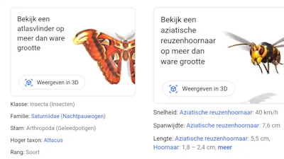 Brrrr... AR-insecten van Google in je huiskamer