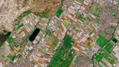 Tulpenvelden in bloei op satellietbeelden ESA