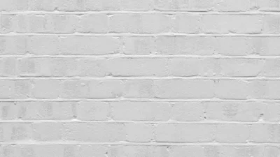 Kunstenaar protesteert tegen censuur met film over drogende verf