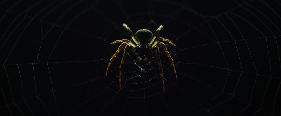 Extra ogen op het dark web door cybervrijwilligers