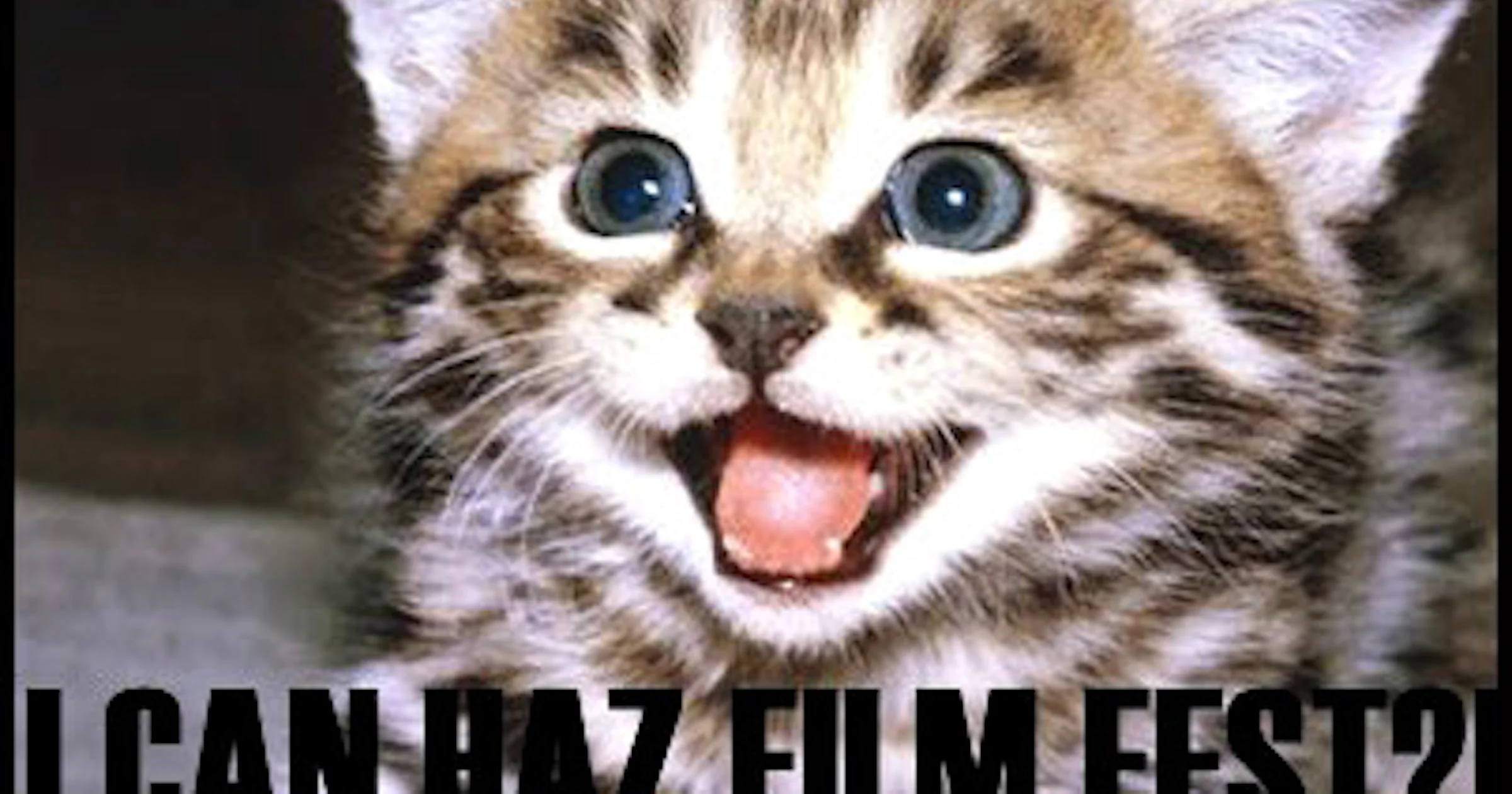 Internet Cat Video Film Festival