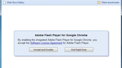 Google krijgt flash plugin