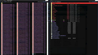 Verse download: NexusFile