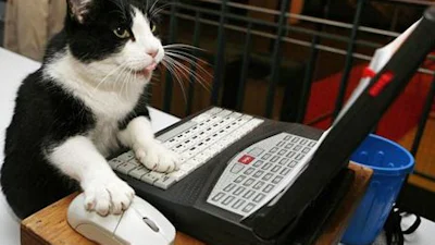 Finnen dol op dieren als wachtwoord