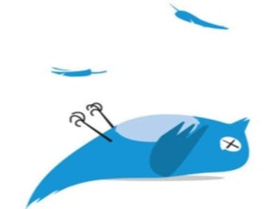 Twitter-aanval of softwarebug?