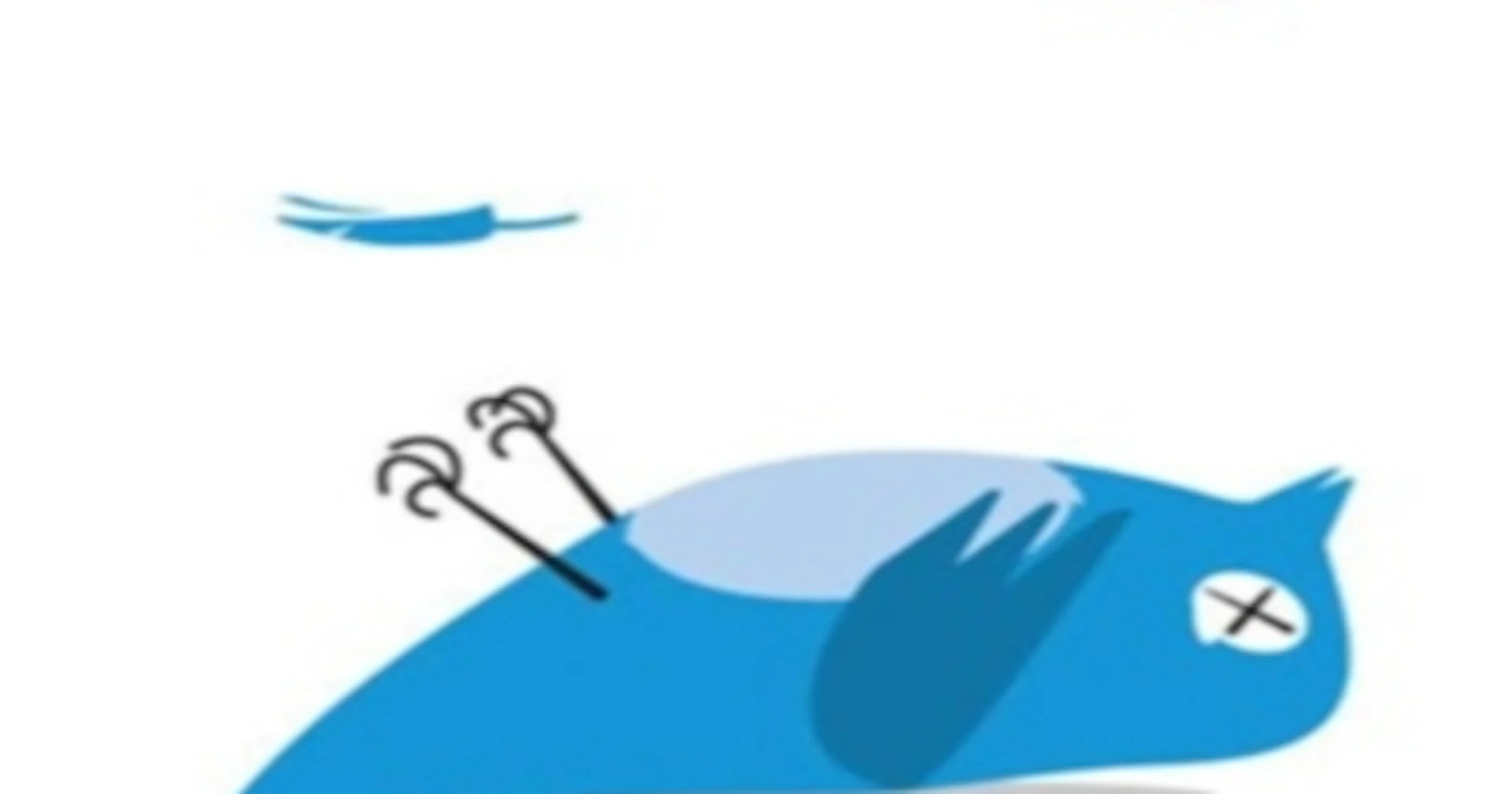 Twitter-aanval of softwarebug?