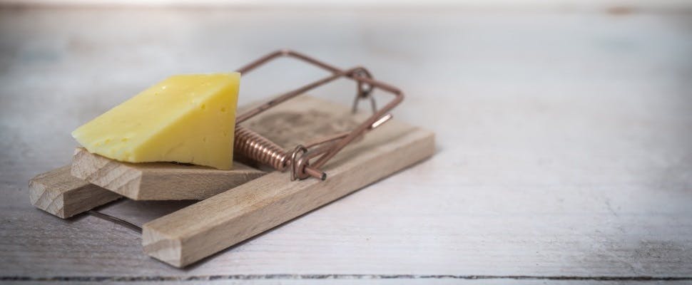 Muizen als wapen tegen deepfake video