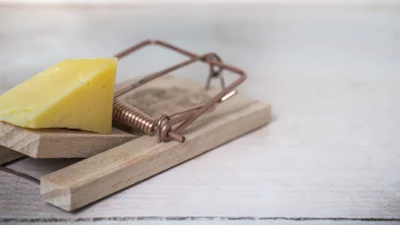 Muizen als wapen tegen deepfake video