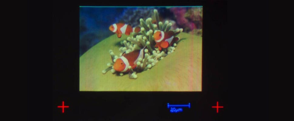 Wetenschappers printen kleinste afbeelding ooit