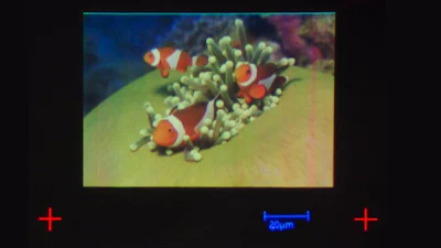 Wetenschappers printen kleinste afbeelding ooit