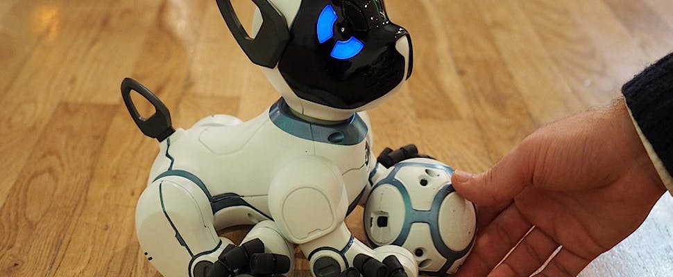 Balletje gooien met robothondje CHiP 