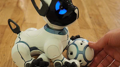 Balletje gooien met robothondje CHiP