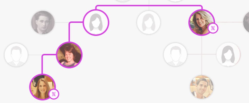 Groot datalek ontdekt bij stamboom-site MyHeritage