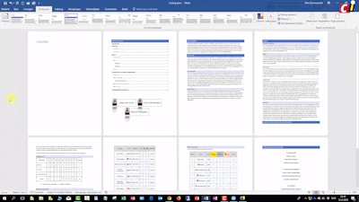 Word 2016: Thema’s gebruiken
