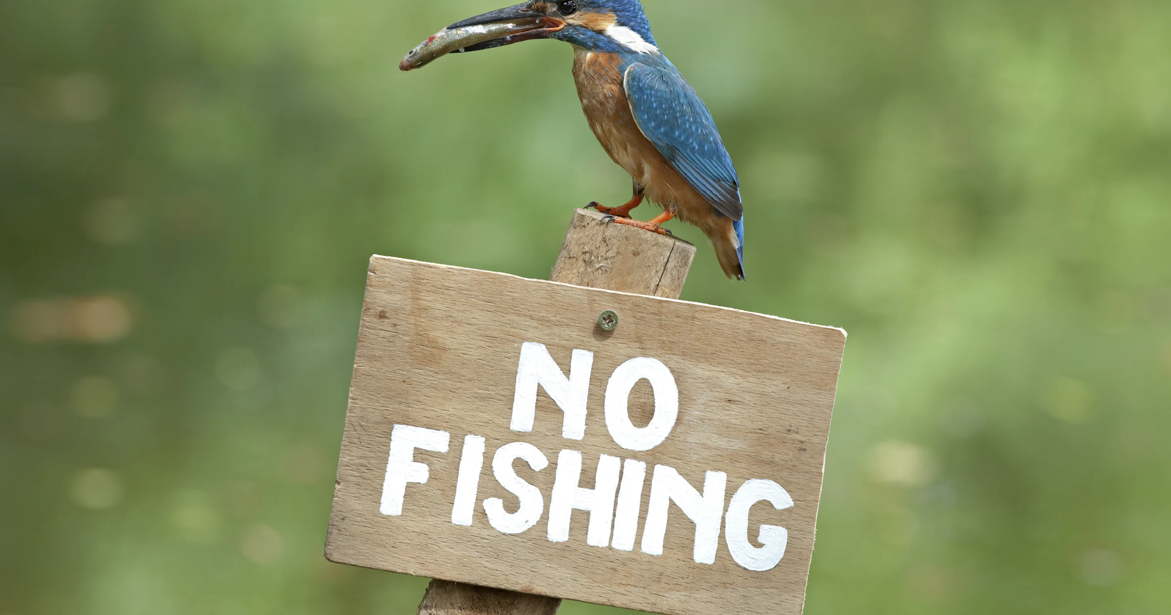 Incassobureaus niet meer geloofwaardig door spammails