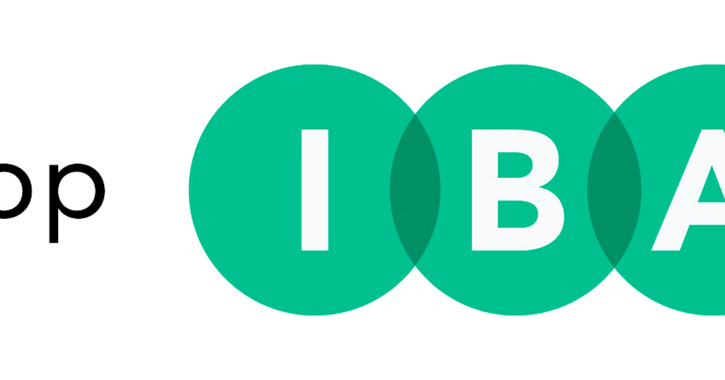 IBAN-rekeningnummers om te zetten met officiële app