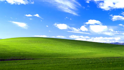 Nederlandse overheid betaalt 1,7 miljoen voor ondersteuning Windows XP