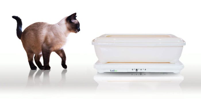 Kattenbak meet gezondheid