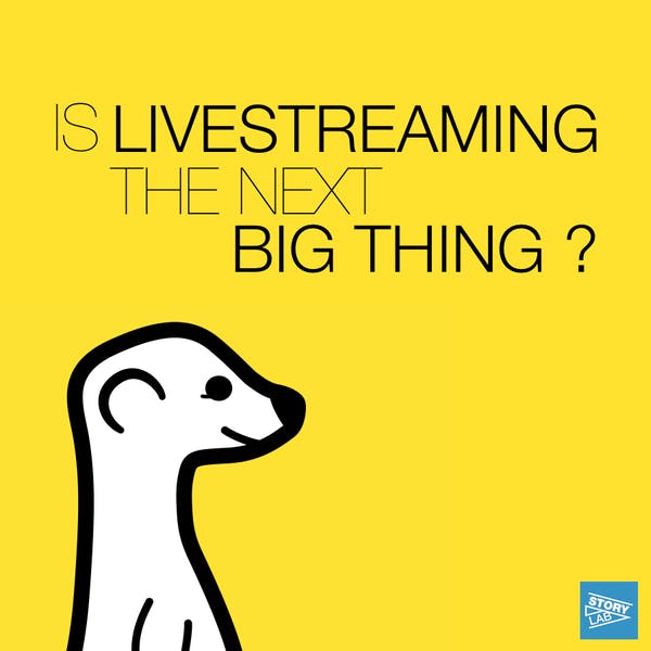 Wat is de videostreaming-app Meerkat en waarom is het zo populair?