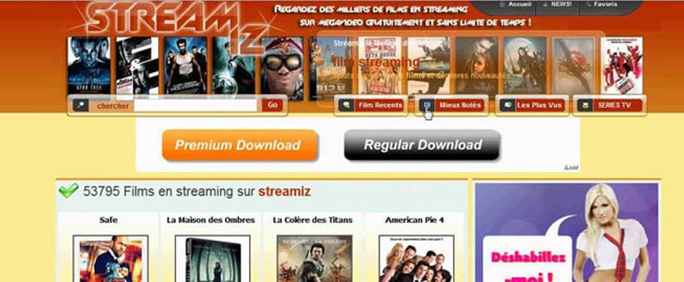 Celstraf voor voortvluchtige internetpiraat