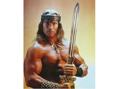 Schwarzenegger vecht tegen typopiraten