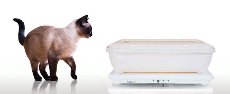 Slimme kattenbak Tailio controleert gezondheid