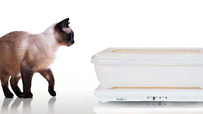 Slimme kattenbak Tailio controleert gezondheid