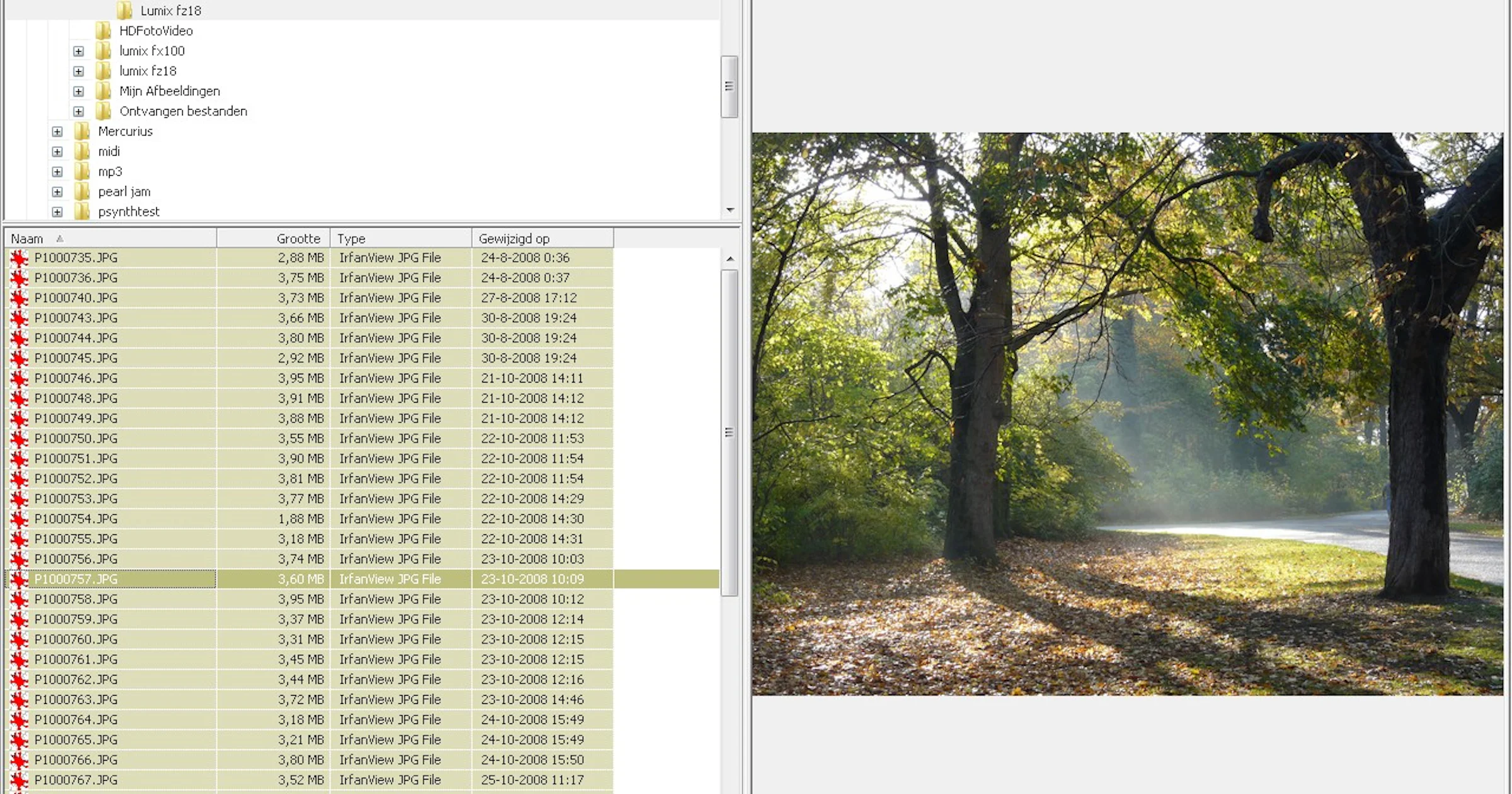 Wildbit Viewer