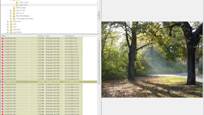 Wildbit Viewer