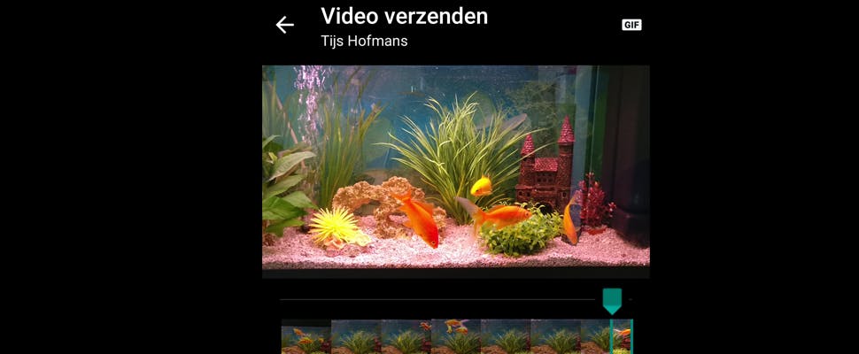 Animated gifs maken en versturen in WhatsApp