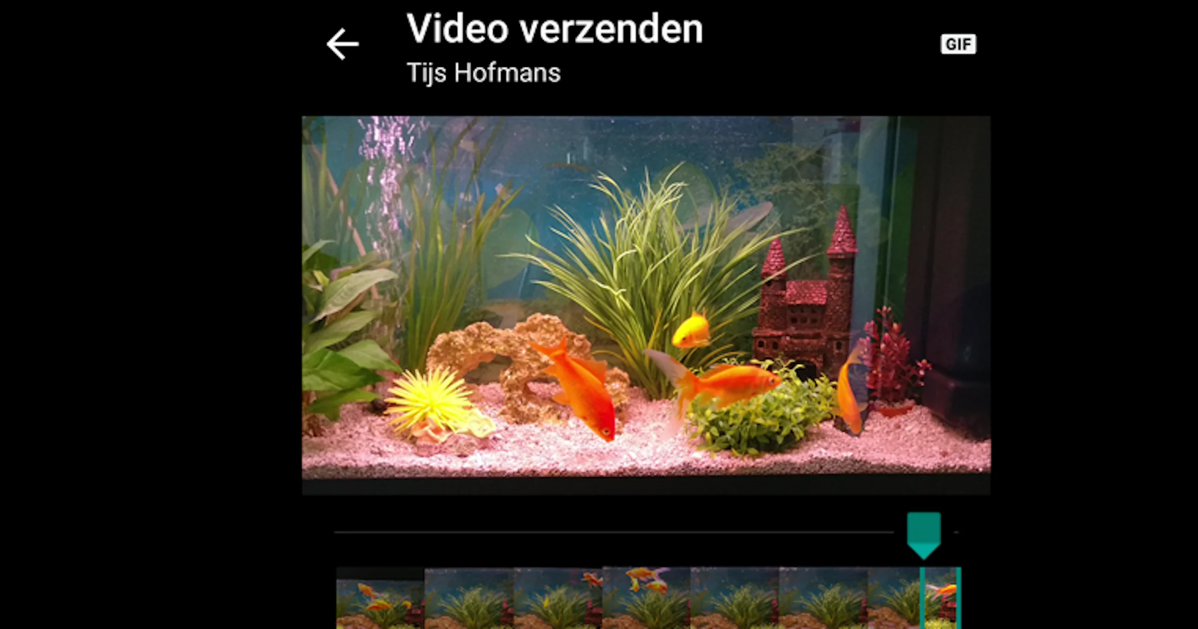 Animated gifs maken en versturen in WhatsApp