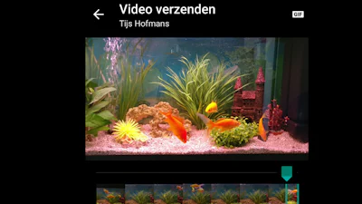 Animated gifs maken en versturen in WhatsApp