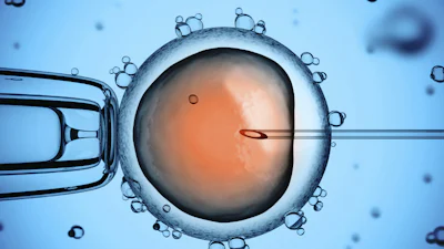 Facebook laat eicellen van vrouwelijke werknemers invriezen