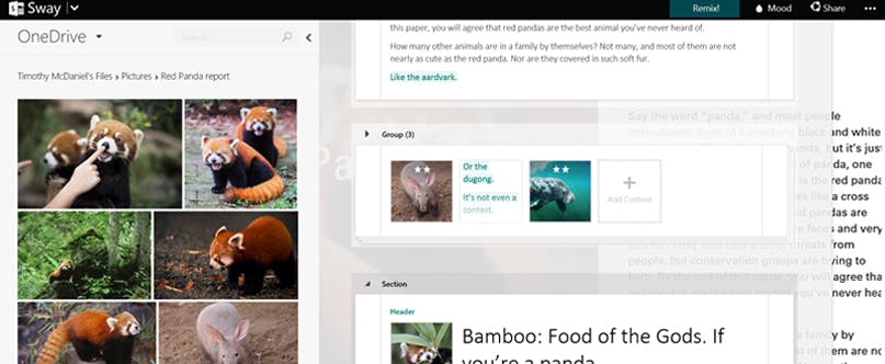 Office krijgt er een programma bij: Sway