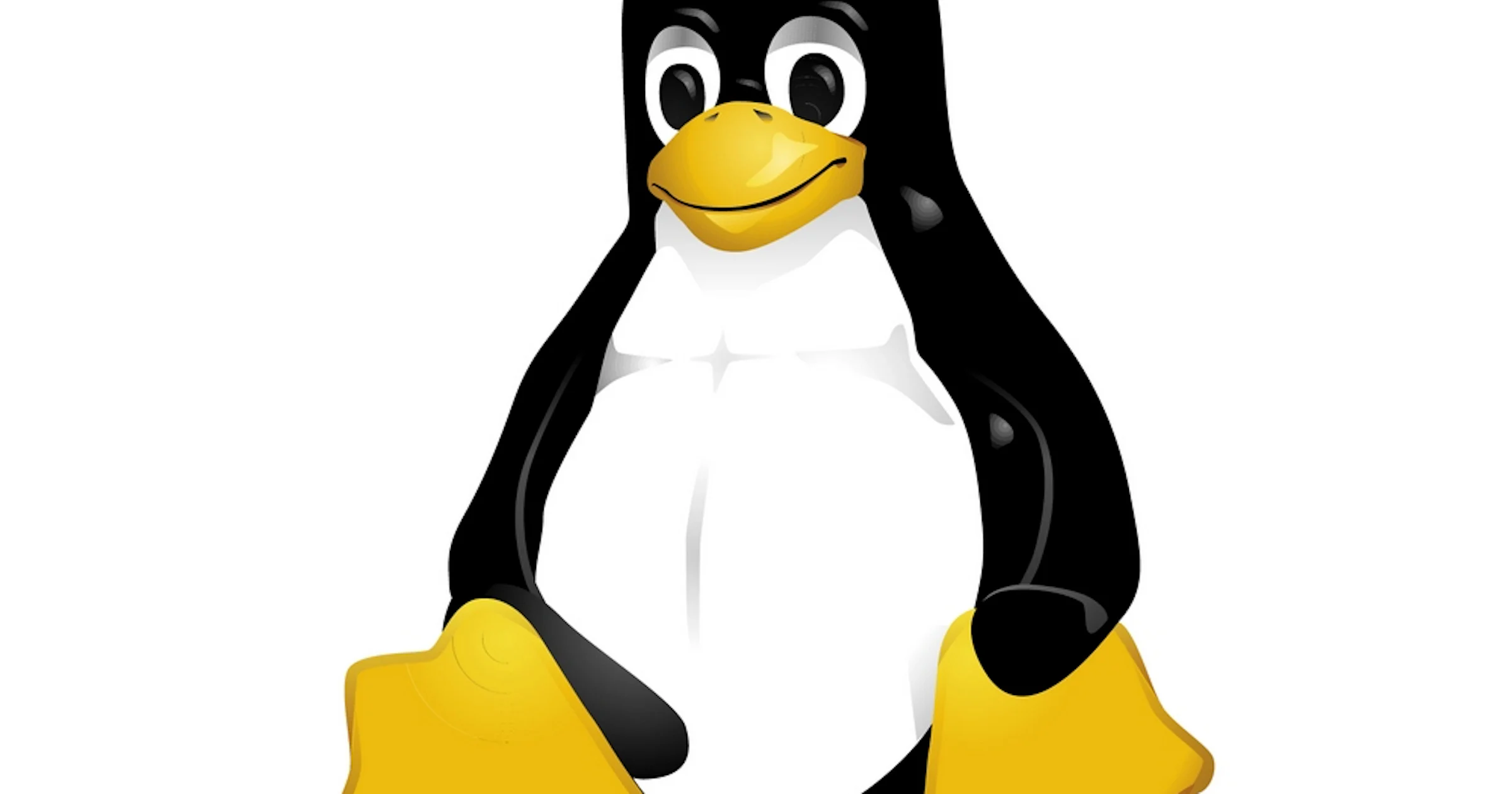 Flash Player 10: Adobe neemt Linux serieus