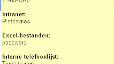 Eén op de drie werknemers schrijft wachtwoorden op